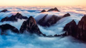 小长颈鹿逃离